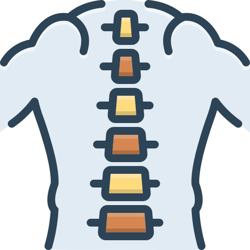 spine dentist-12-ert-3