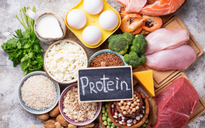 Protein: Your Muscles’ Favorite Building Material